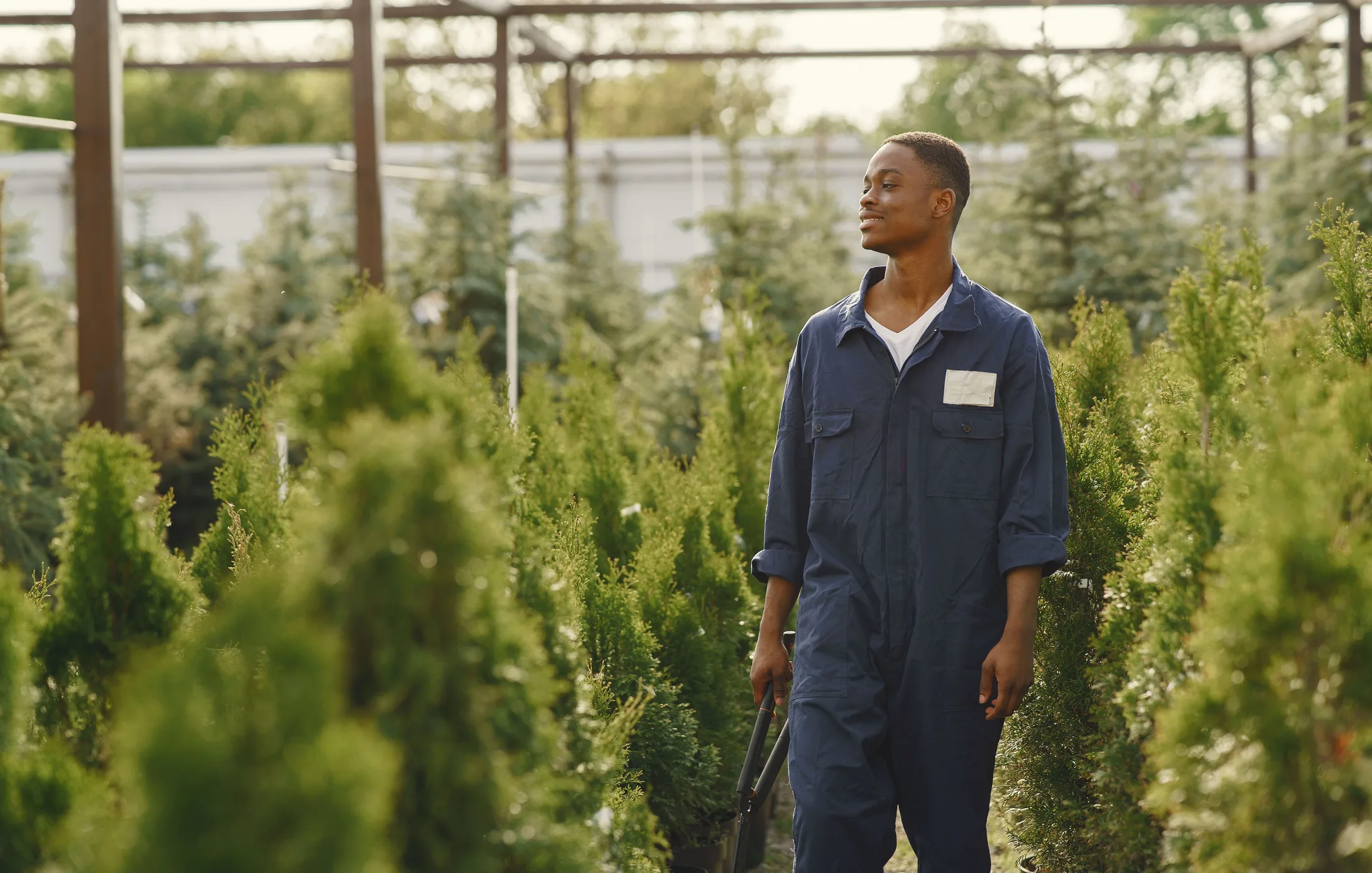 Professional gardener standing among healthy green plants